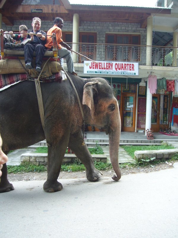 Travel - India - Himachal Pradesh - Manali